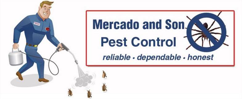 Best Emergency Pest Control Kill Bugs Ants Cockroach Roaches Rodent Mouse Rats Mice Bees Control Pest Exterminators Home House Residential Commercial In